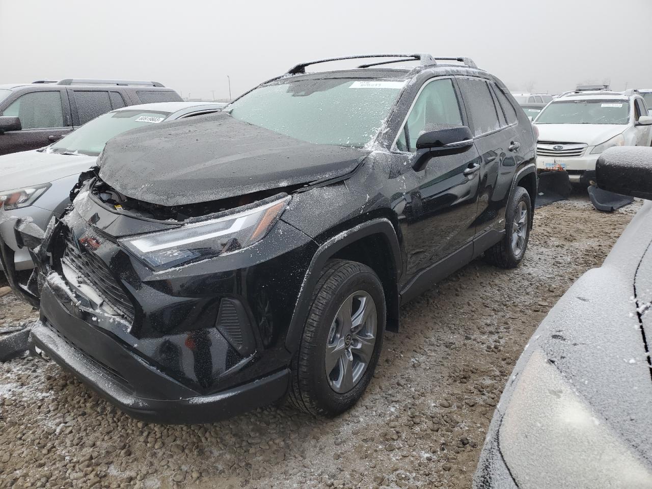 TOYOTA RAV 4 2024 4t3rwrfv0ru111931