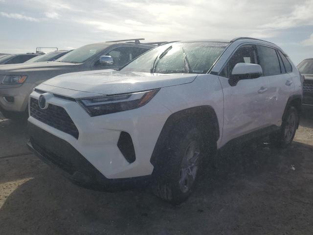 TOYOTA RAV4 XLE 2024 4t3rwrfv4ru154829