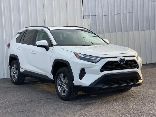 TOYOTA RAV4 XLE 2022 4t3rwrfvxnu074025