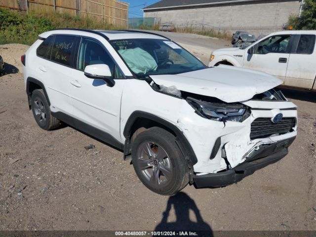 TOYOTA RAV4 2024 4t3rwrfvxru132060