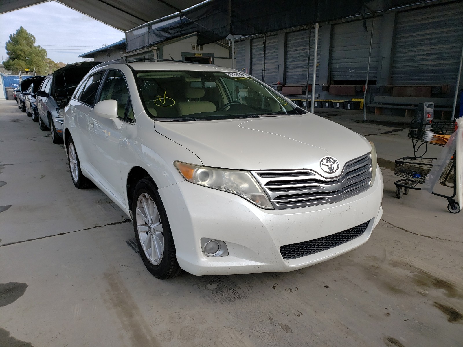 TOYOTA VENZA 2011 4t3za3bb1bu050117