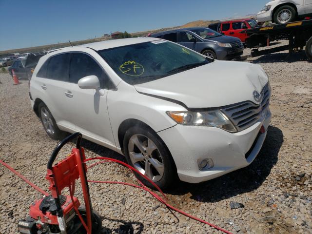 TOYOTA VENZA 2010 4t3zk3bb1au033412