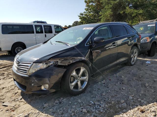 TOYOTA VENZA 2010 4t3zk3bb5au029234