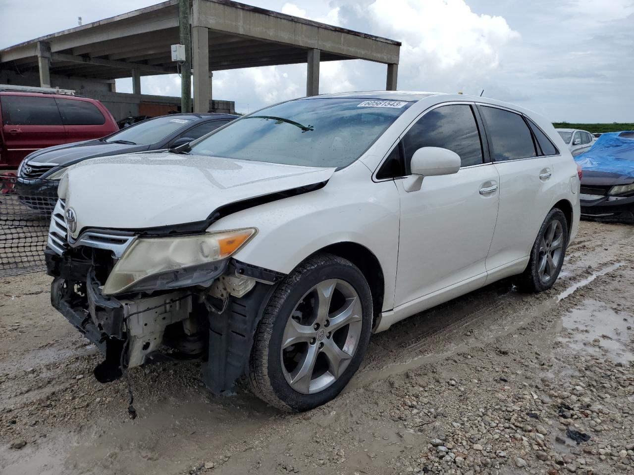 TOYOTA VENZA 2010 4t3zk3bb8au029020