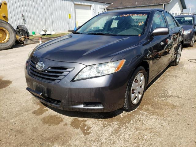 TOYOTA CAMRY BASE 2009 4t4be46k29r077065