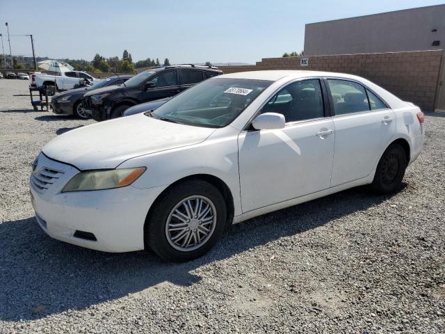 TOYOTA CAMRY 2009 4t4be46k89r064711