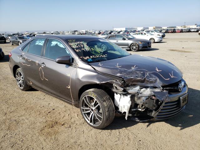 TOYOTA CAMRY LE 2015 4t4bf1fk1fr503271