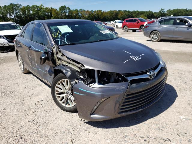 TOYOTA CAMRY LE 2016 4t4bf1fk1gr539396