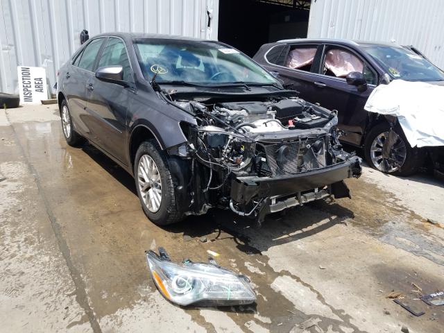 TOYOTA CAMRY LE 2016 4t4bf1fkxgr579928