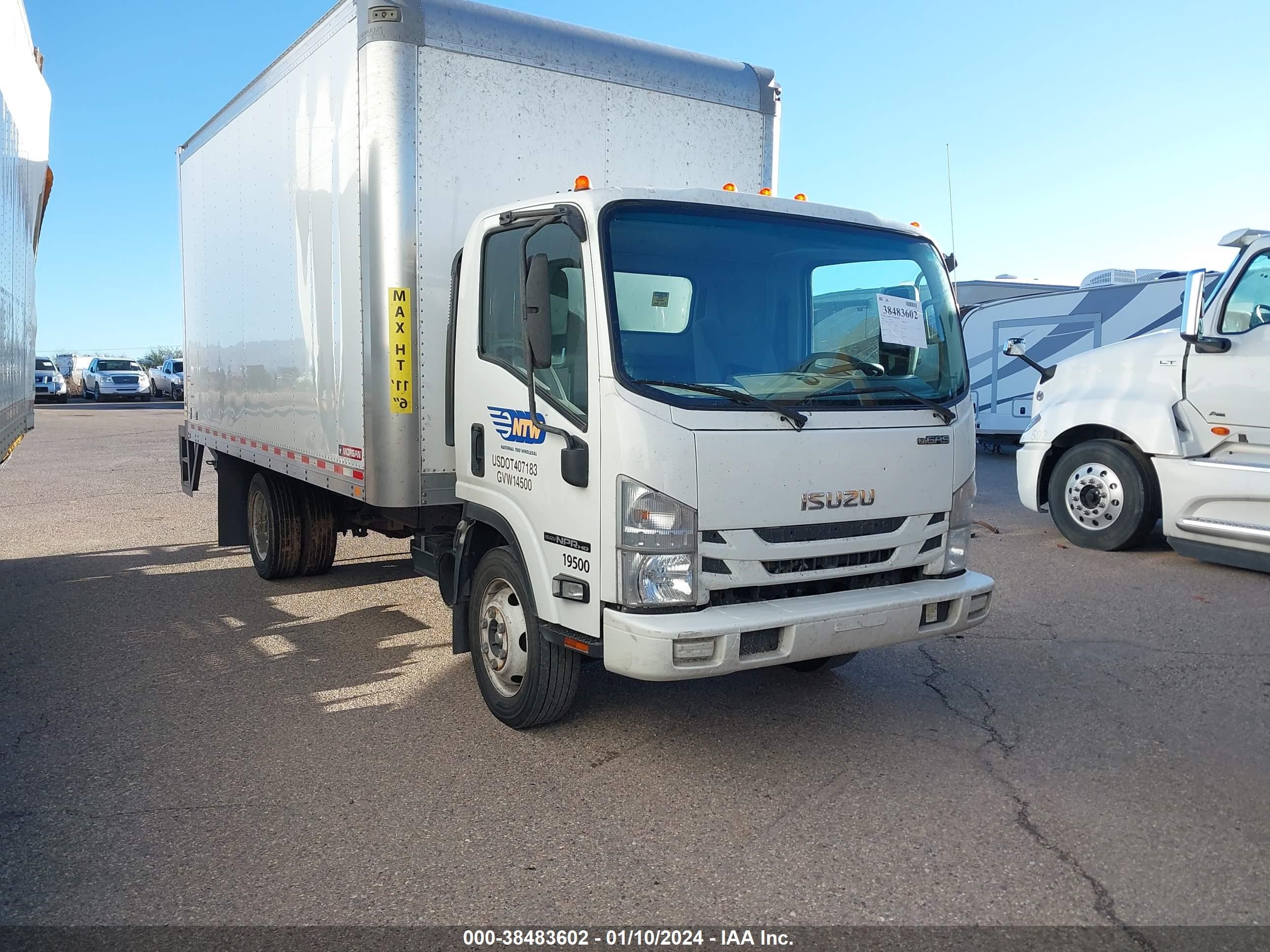 ISUZU NULL 2020 54dc4w1b7ls800657