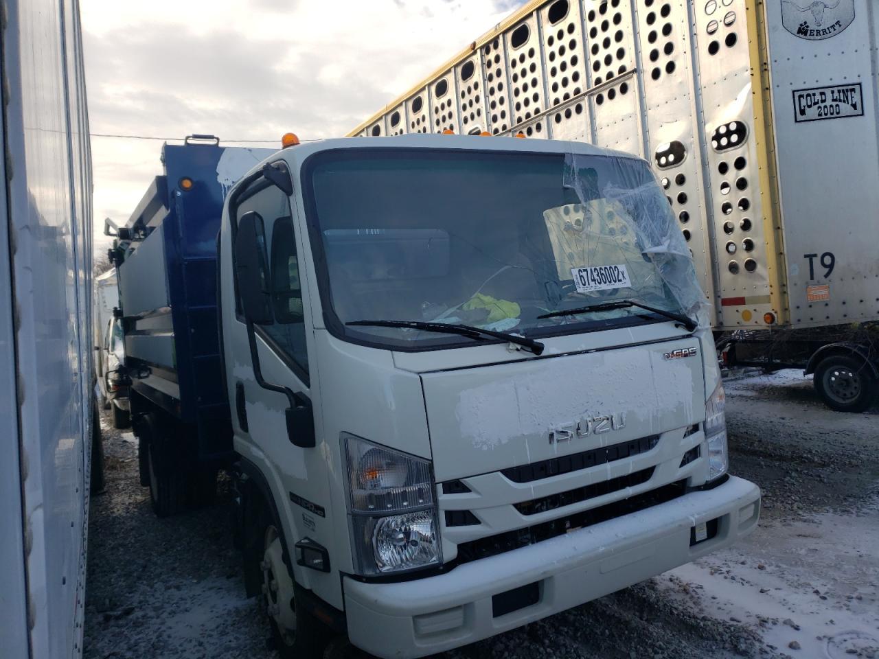 ISUZU NULL 2021 54dc4w1d1ms208741