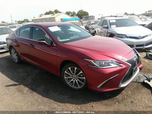 LEXUS NULL 2019 58ab21b11ku001379