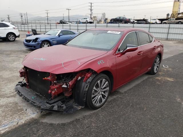 LEXUS ES 300H 2019 58ab21b12ku001147