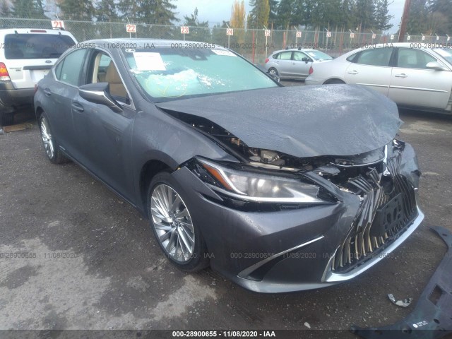 LEXUS NULL 2019 58ab21b15ku003779