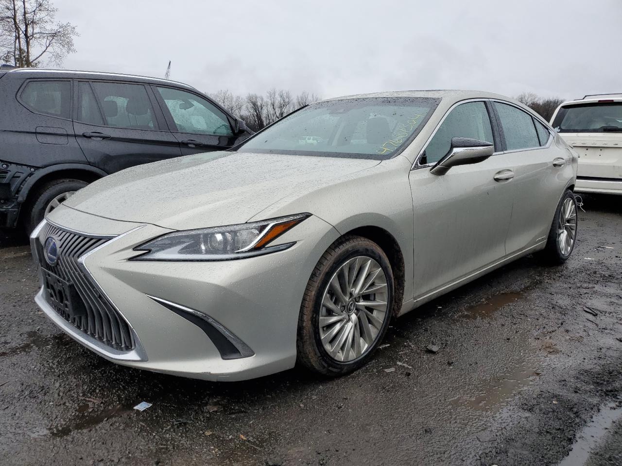 LEXUS ES 300H 2019 58ab21b1xku001218