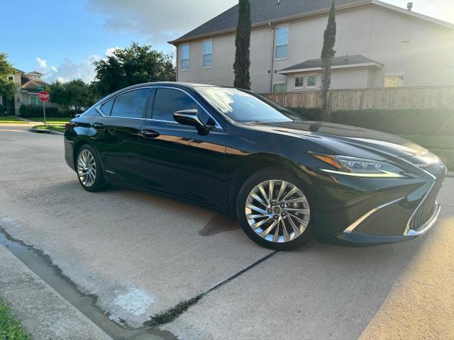 LEXUS ES300 2019 58ab21b1xku002952