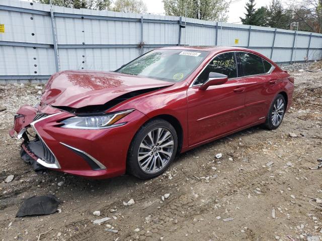 LEXUS ES300 2019 58ab21b1xku004135