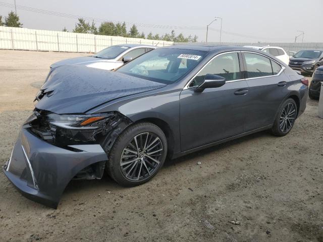 LEXUS ES 300H F 2023 58ab21b1xpu014025