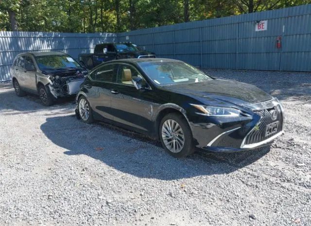 LEXUS NULL 2019 58abz1b10ku017939