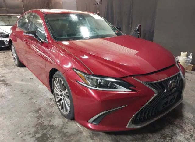 LEXUS NULL 2019 58abz1b14ku006930