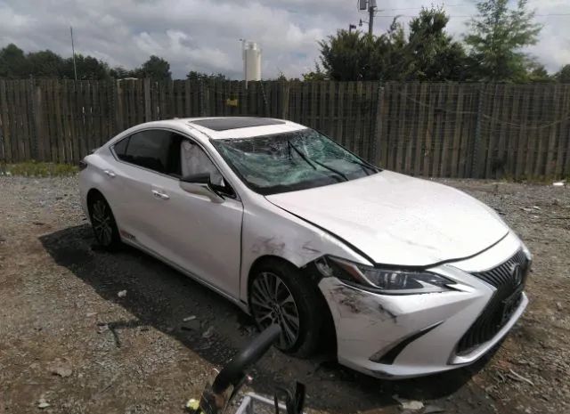 LEXUS ES 2019 58abz1b1xku013154