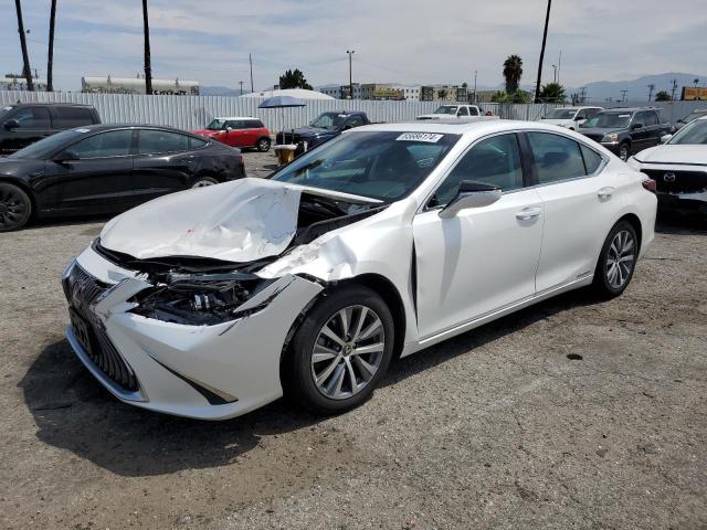 LEXUS ES300 2020 58ac21b13lu008503