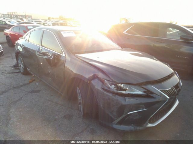 LEXUS ES 2021 58aca1c12mu006695