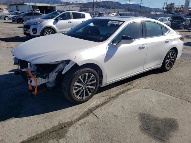 LEXUS ES300 2022 58aca1c12nu013860