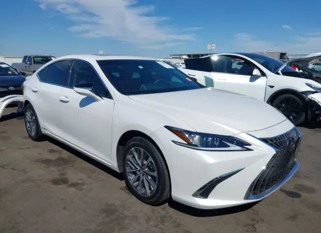 LEXUS ES 2022 58aca1c12nu016466