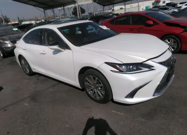 LEXUS ES 2022 58aca1c12nu018220