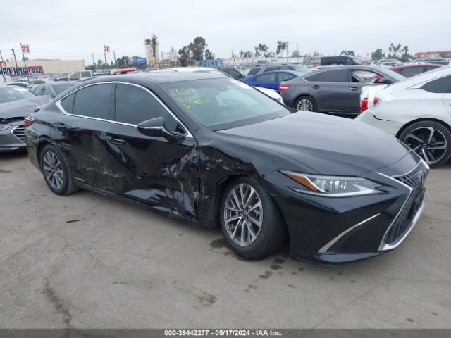 LEXUS ES 2022 58aca1c14nu023662