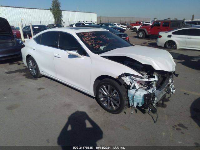 LEXUS NULL 2021 58aca1c15mu008862