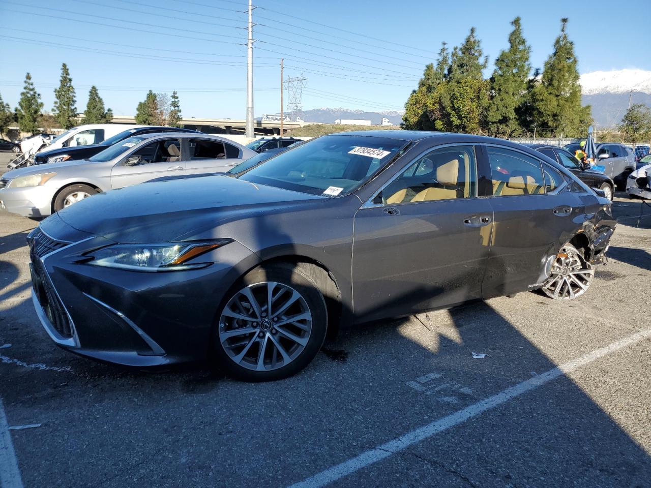 LEXUS ES 2022 58aca1c15nu015165