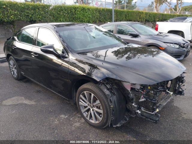 LEXUS ES 300H 2021 58aca1c16mu004366