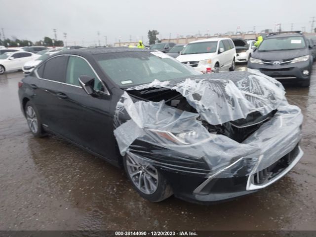 LEXUS ES 300H 2021 58aca1c17mu007566