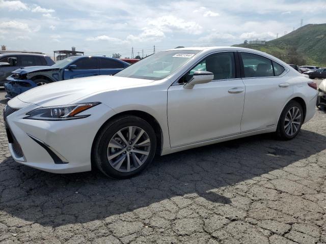 LEXUS ES300 2021 58aca1c18mu003462