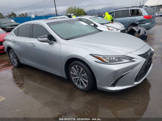 LEXUS ES 300H 2022 58aca1c19nu013127