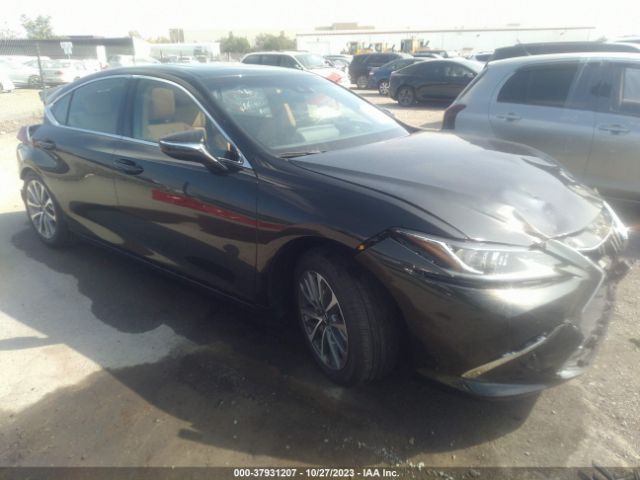 LEXUS NULL 2023 58acz1b12pu159124