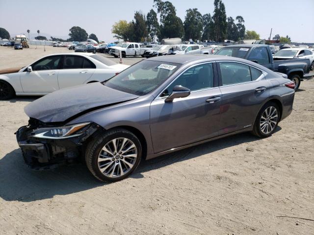 LEXUS ES 300H 2020 58ad21b11lu007659