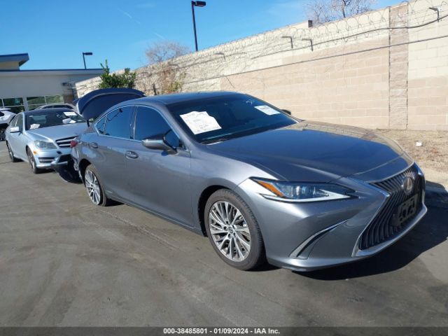 LEXUS ES 300H 2020 58ad21b12lu007752