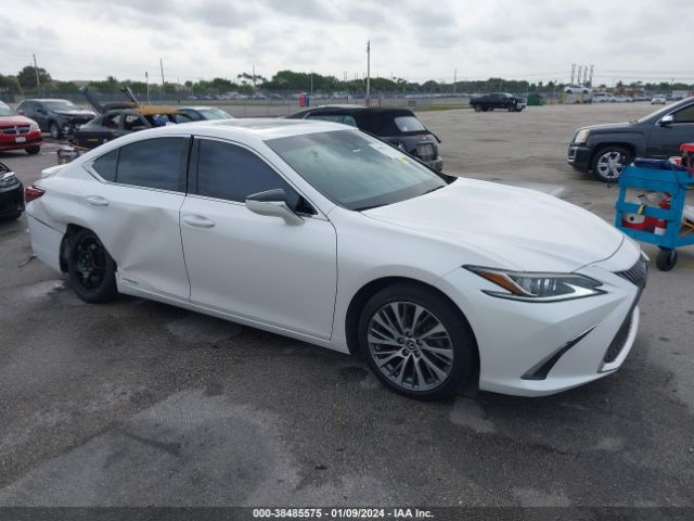 LEXUS NULL 2020 58ad21b13lu004794