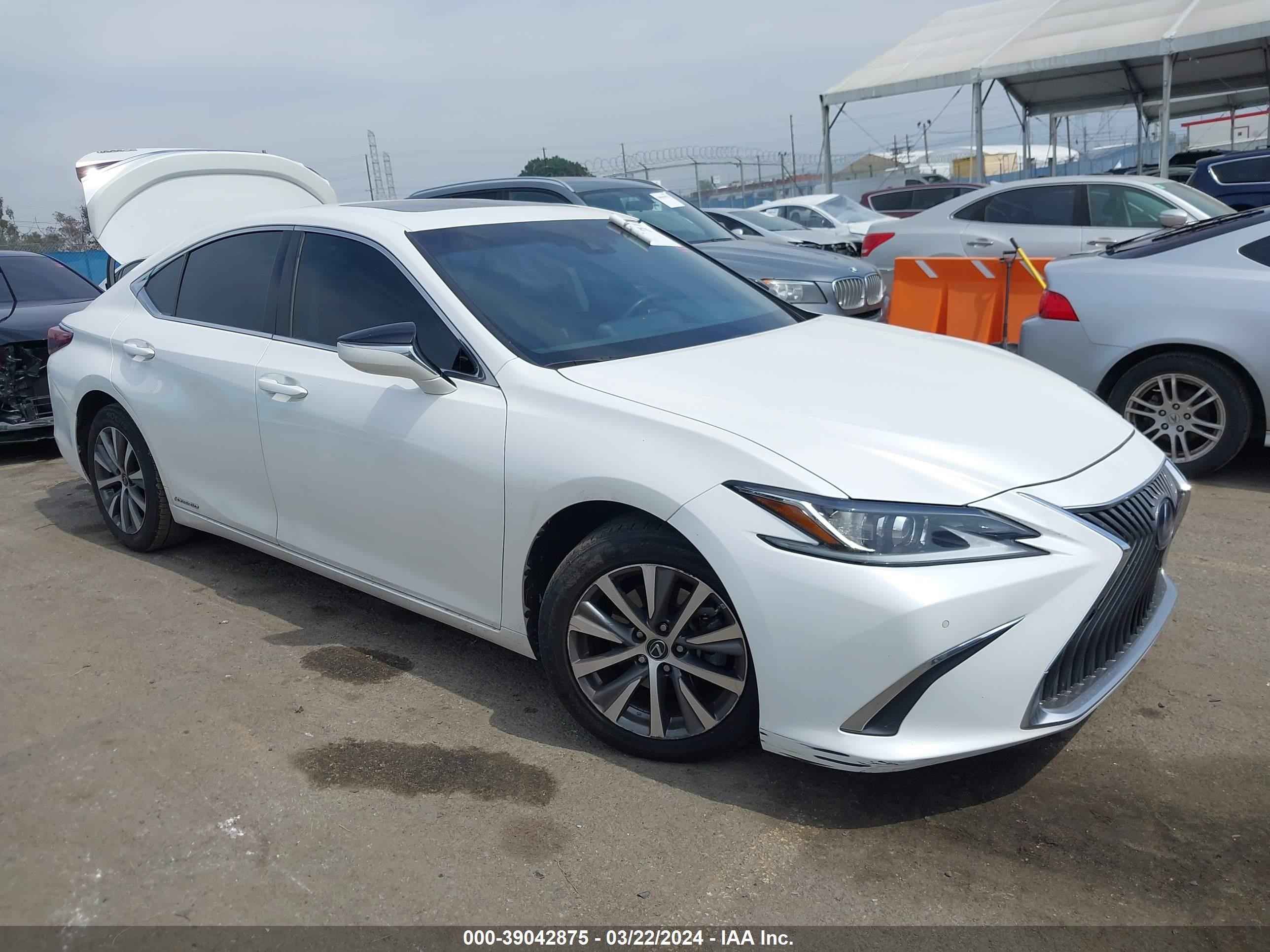 LEXUS ES 2020 58ad21b13lu005430