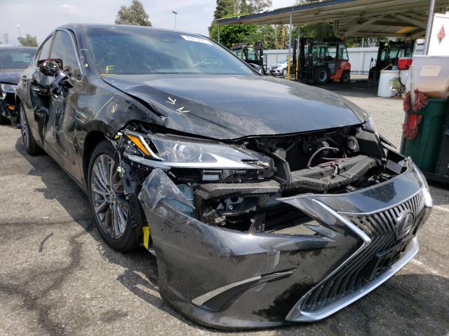 LEXUS ES 300H 2020 58ad21b17lu008685