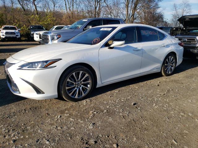 LEXUS ES300 2020 58ad21b18lu009540