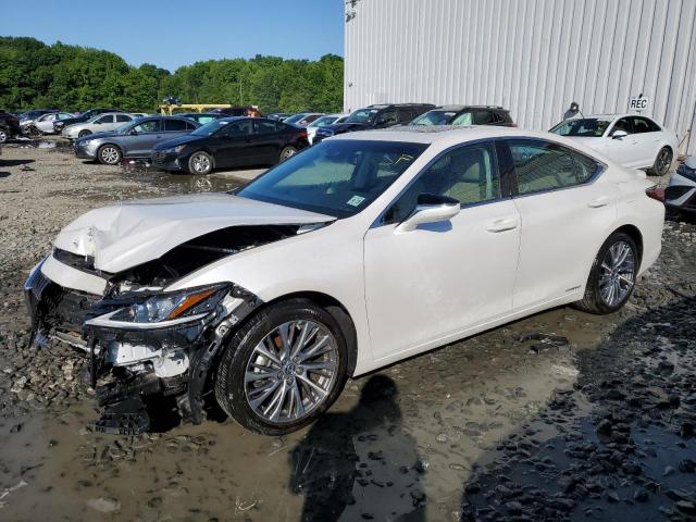 LEXUS ES300 2020 58ad21b19lu008929