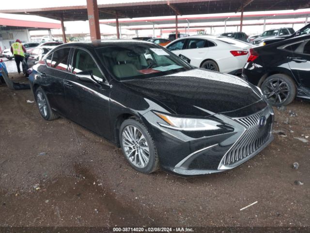 LEXUS ES 300H 2020 58ad21b1xlu007188