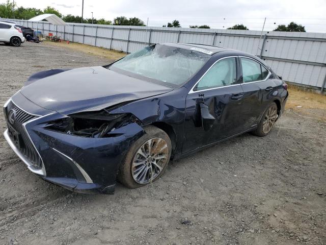 LEXUS NULL 2021 58ada1c11mu012895