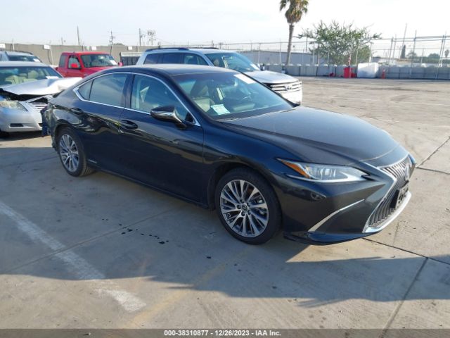 LEXUS ES 300H 2021 58ada1c12mu006748