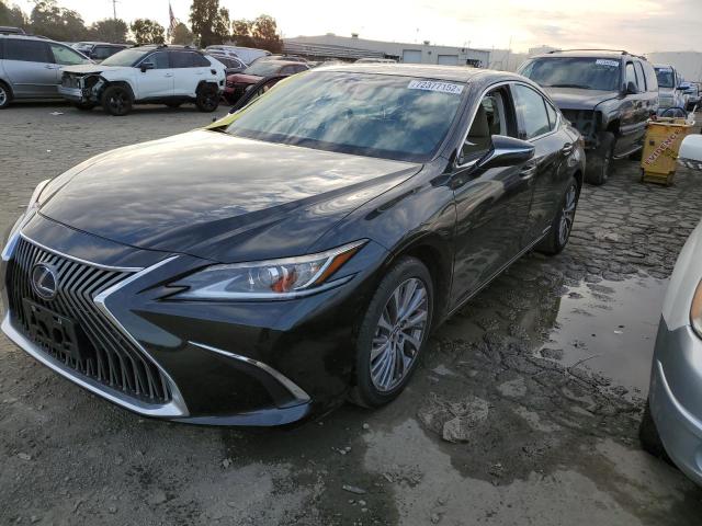 LEXUS ES 300H 2021 58ada1c12mu006815