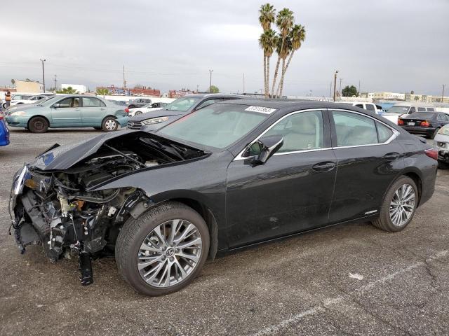 LEXUS ES 300H 2021 58ada1c12mu007480